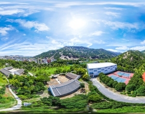 ModernThe Environment