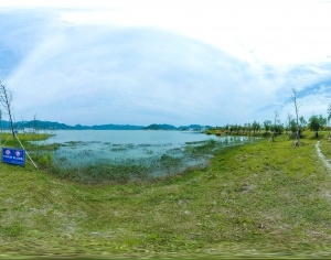 ModernThe Environment