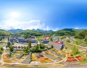 ModernThe Environment