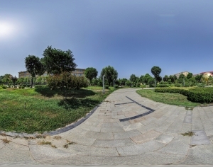 ModernThe Environment