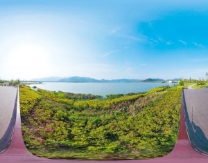 ModernThe Environment