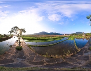 ModernThe Environment