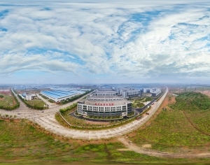 ModernThe Environment