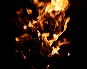 ModernNature Texture