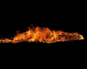 ModernNature Texture