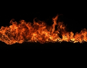 ModernNature Texture