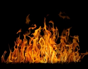 ModernNature Texture