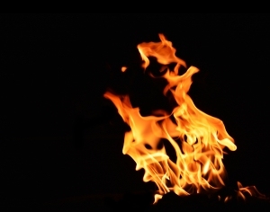 ModernNature Texture