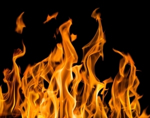 ModernNature Texture