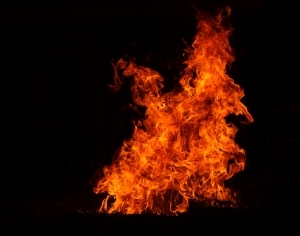 ModernNature Texture