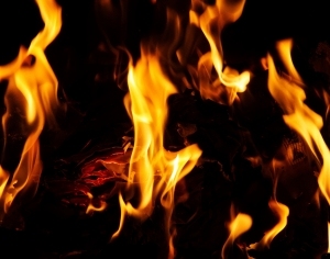 ModernNature Texture