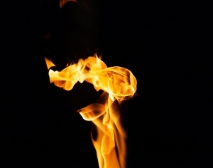 ModernNature Texture