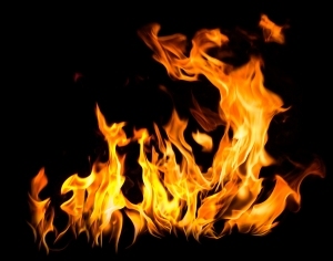 ModernNature Texture