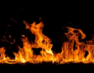 ModernNature Texture