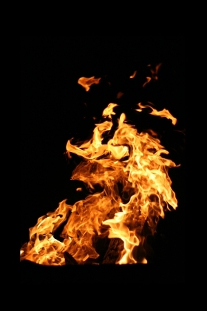 ModernNature Texture