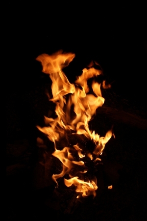 ModernNature Texture