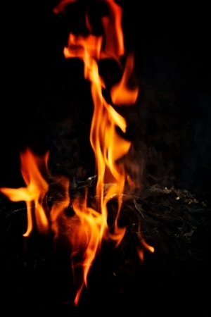 ModernNature Texture