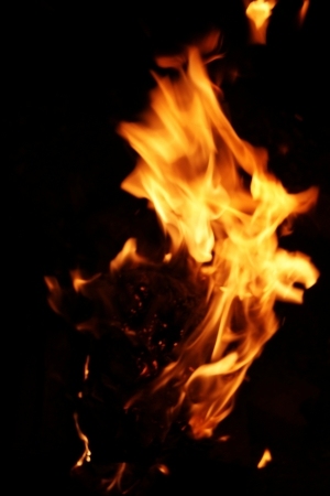 ModernNature Texture