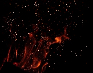 ModernNature Texture