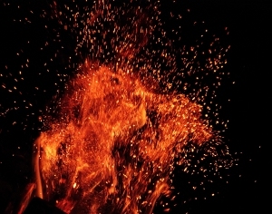 ModernNature Texture