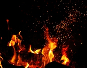 ModernNature Texture