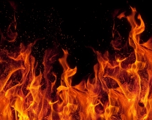 ModernNature Texture