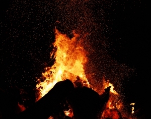 ModernNature Texture