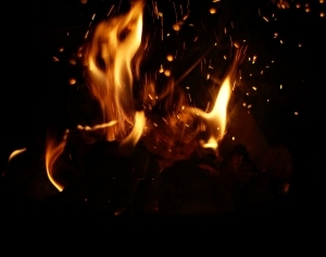 ModernNature Texture