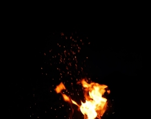 ModernNature Texture