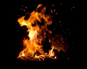 ModernNature Texture