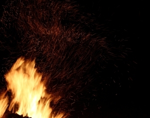 ModernNature Texture