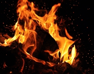 ModernNature Texture