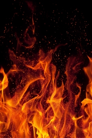 ModernNature Texture