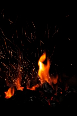 ModernNature Texture