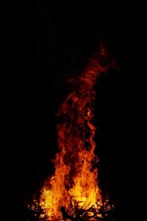 ModernNature Texture