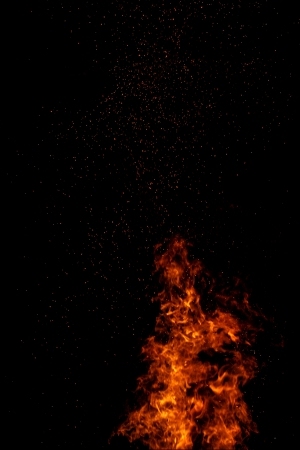 ModernNature Texture