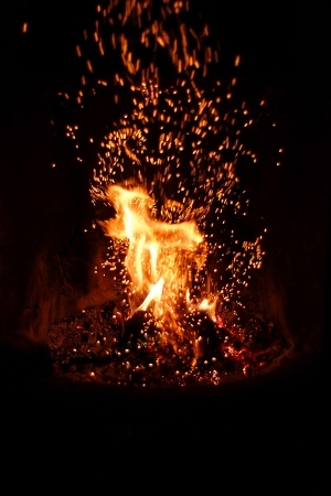 ModernNature Texture