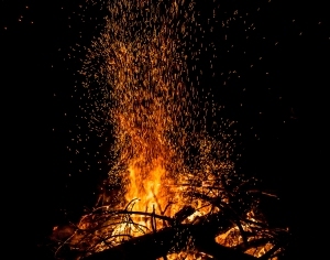 ModernNature Texture