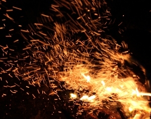 ModernNature Texture