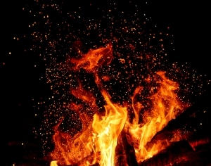 ModernNature Texture