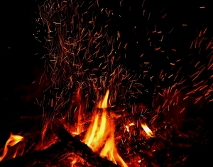 ModernNature Texture