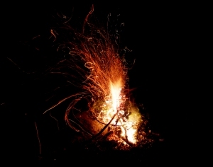 ModernNature Texture