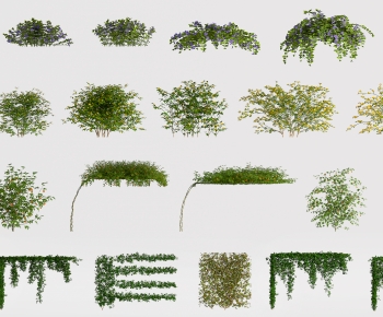 Modern Vine-ID:859002119
