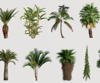 Modern Tree-ID:428229099