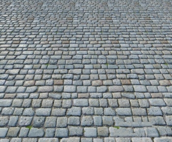 Modern Garden-ID:898336894