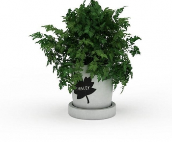 Modern Potted Green Plant-ID:256465916