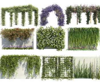 Modern Vine-ID:393673905