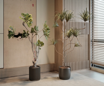 Modern Ground Green Plant Potted Plants-ID:578383925
