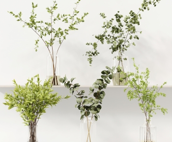 Modern Aquatic Green Plant-ID:216450934