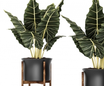 Modern Ground Green Plant Potted Plants-ID:719712972